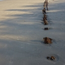 10_aus_g_011