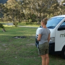 10_aus_g_033