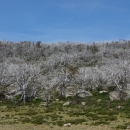 10_aus_g_043