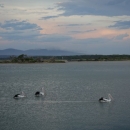 10_aus_g_046