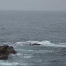 10_aus_g_048