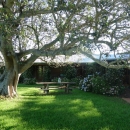 10_aus_g_055