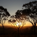 10_aus_g_056