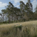 10_aus_g_062