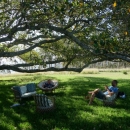 10_aus_g_065