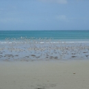 10_aus_g_076