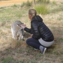10_aus_g_078