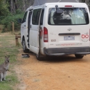 10_aus_g_080