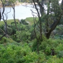 10_aus_g_097