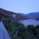 10_aus_g_104