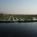 dsc05140