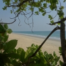 dsc05515