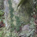 dsc07642