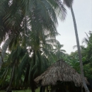 dsc08593