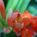 DSC00048