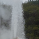 DSC00464