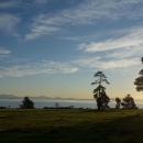 DSC00535