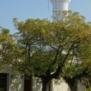 dsc01283