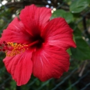 dsc01309