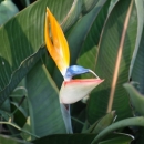 dsc01321